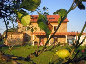 Rehabilitación de vivienda en Bemantes, Miño